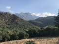 Balade en sous-bois à Avapessa