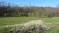 Vue du paysage vallonné lors de la descente vers Issoire