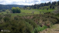 vue du plateau