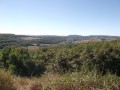 Vigne et vallée depuis Rully