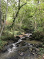 Sentier de la Rochette à Donzenac Sentier de la Rochette à Donzenac