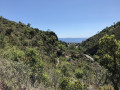 Vue du pont en début de chemin Vue du pont en début de chemin