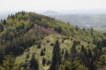 Puy de Lassolas et Puy de la Vache à partir du Col de la Moréno