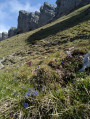 Vue du sentier retour
