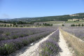 Vue du versant est de la colline Vue du versant est de la colline