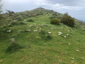 Vue du Viériou depuis la baisse de Viériou