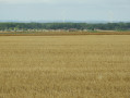 Vue du village de Plancy-l'Abbaye
