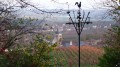 Panoramas près de Reims, en forêt et dans le vignoble