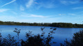 vue étang de Pommereul depuis observatoire n°1