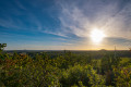 Vue ouest du haut du terril 122 à Leforest