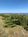 Vue ouest du sommet du Puech d'Alluech 1156m