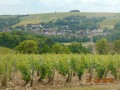 Le Sentier de Chichée Le Sentier de Chichée