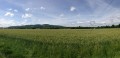 Berges de Saône et retour par Genay