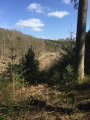 Vue panoramique