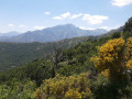 Vue panoramique