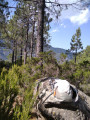 Vue panoramique