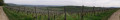 Vue panoramique
