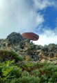 vue panoramique