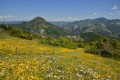 Vue panoramique