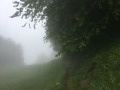 Vue... pas trop dégagée !