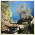Vue plongeant sur la mer