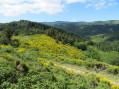 Vue près du sommet Vue près du sommet