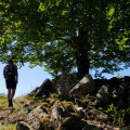 Sur les pas des bergers de Catastaghju aux bergeries de Scanciatella