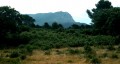Vue sur la Sainte Victoire