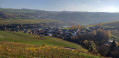 Sentier Vin et Nature du Palmberg