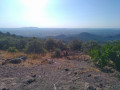 Vue sur Alès