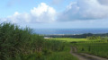 Vue sur Capesterre et Marie Galante