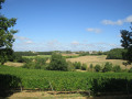 Vue sur Cestayrol