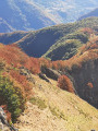 vue sur Cette