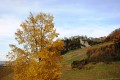 Vue sur Château Chalon