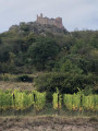 From Ribeauvillé to Dusenbach Monastery through the woods