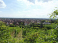 Le Hahnenberg depuis Châtenois et La Montagne des Singes