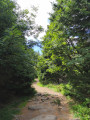 Vue sur chemin