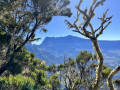 Vue sur cilaos