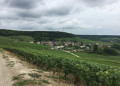 Vue sur Cormoyeux