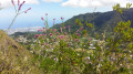 Vue sur Dos d'âne et la Possession