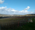 Vue sur Epernay