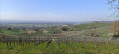 Vignes et monts autour de Fischingen
