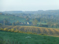 Vue sur Forêt à partir de la route Gelivaux