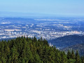 Vue sur Freiburg