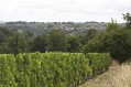 Vue sur gensac