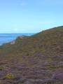 Vue sur Goury depuis la sortie du tunnel de Laye