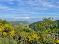 Vue sur Guebwiller