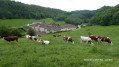 vue sur l'abbaye