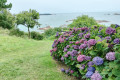 vue sur l Arcouest