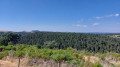 Vue sur l'Echino d'Aze et l'un des puech des Bondons depuis La Fage